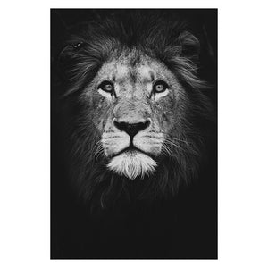 Animal Wall Art Canvas Paintings