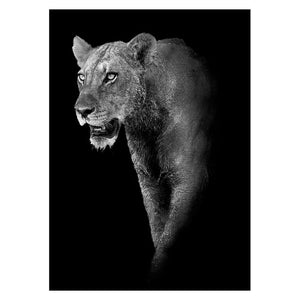 Animal Wall Art Canvas Paintings