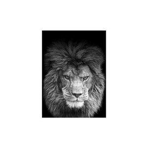 Wild Lion Wall Art