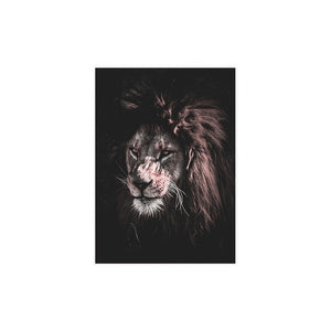 Wild Lion Wall Art