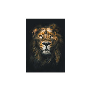 Wild Lion Wall Art