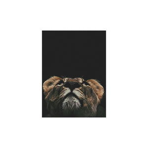 Wild Lion Wall Art