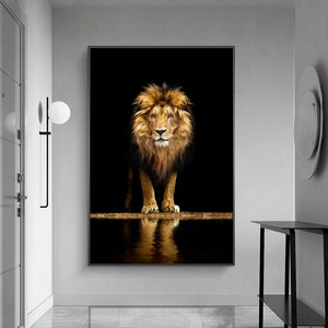 Classic African Lion Canvas