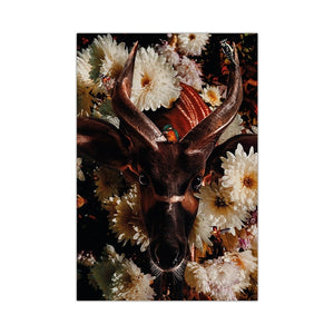 Flowers/Animal Abstract Canvas